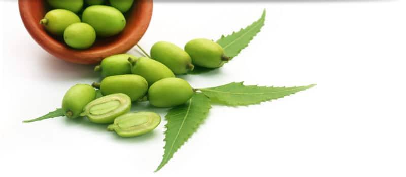 health benefits of neem in kannada