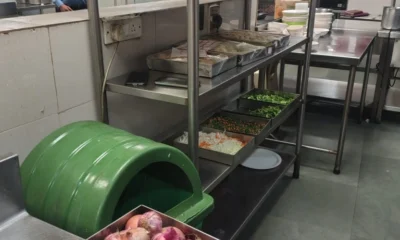 bengaluru-clubs-food-safety-raid-cockroaches-expired-food-found